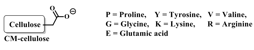 GATE XL 2023 Q21 figure: A mixture of four peptides, PKKRK, RGERV, RYRGV and LVVYP, is loaded onto an ion-exchange column at pH = 7.2.