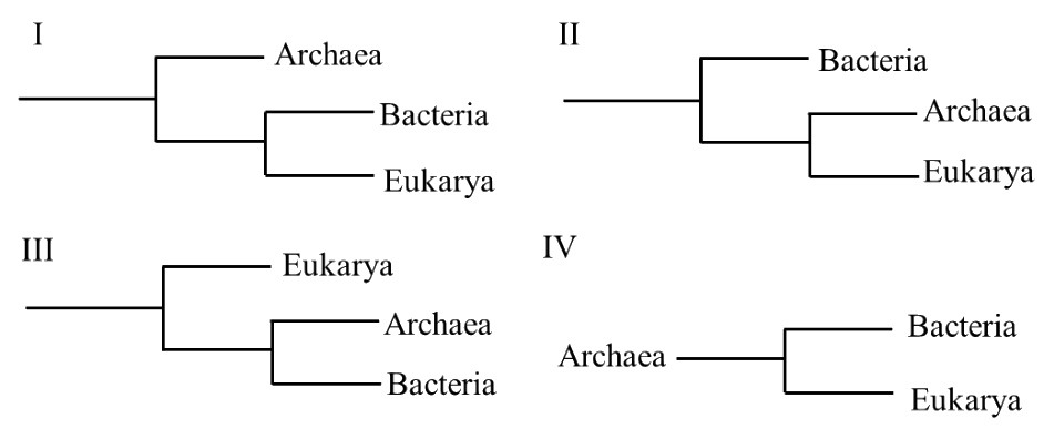 GATE XL 2025 Q75 figure: Carl Woese established that short subunit rRNA sequences can be used to reveal evolutionary relationships betw