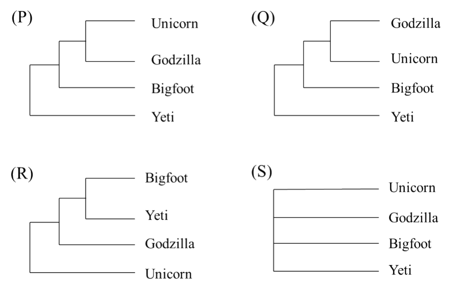 GATE XL 2026 Q103 figure: In her exploration of the Western Ghats, Dora finds four new species of fungi. Below is the DNA sequence align