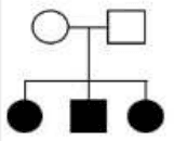 Pedigree of unaffected parents with two affected daughters and an affected son
