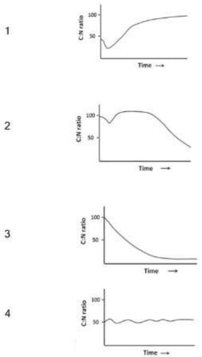 Four graphs of C:N ratio against time