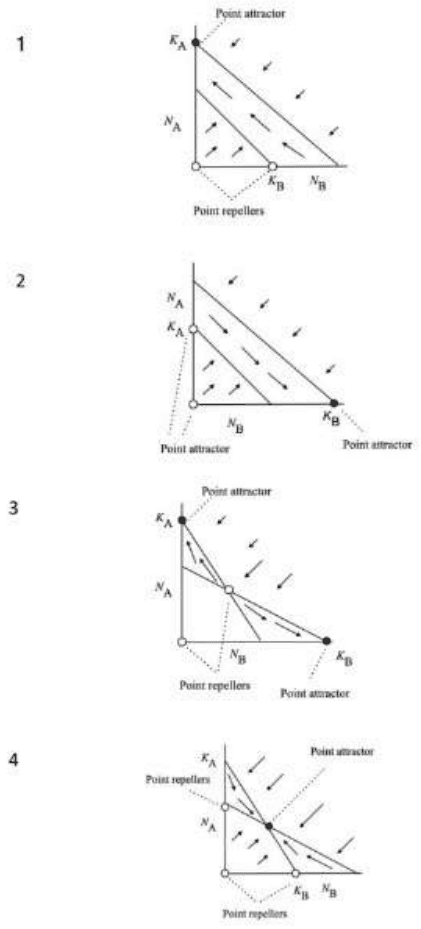 Four Lotka-Volterra isocline graphs with point attractors and repellers