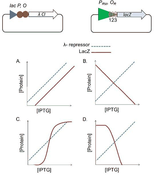 lac-lambda hybrid plasmids and four graphs A to D of lambda repressor and LacZ against IPTG