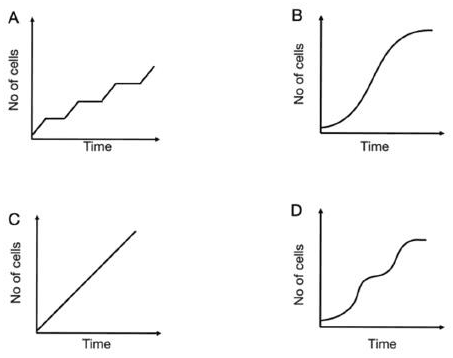 Four bacterial growth curves A to D: stepwise, sigmoid, linear and two-phase