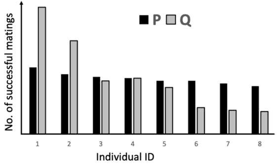 Bar chart of successful matings for individuals 1 to 8 of sexes P and Q
