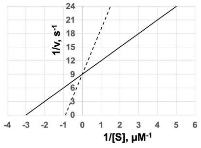 Lineweaver-Burk plot of 1/v against 1/[S] with and without inhibitor, lines meeting on the y-axis