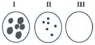 Three plates I, II and III showing large plaques, small plaques and no plaques