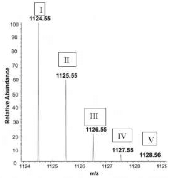 Mass spectrum of a peptide with peaks I to V from m/z 1124.55 to 1128.56