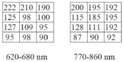 Digital numbers of 12 pixels in two bands and four candidate vegetation patterns