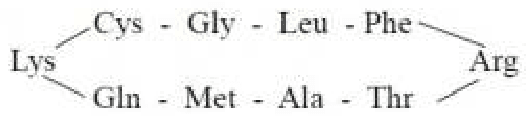 Cyclic peptide Lys-Cys-Gly-Leu-Phe-Arg-Thr-Ala-Met-Gln