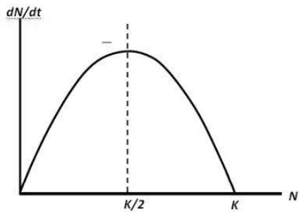 Question 126, option 3 diagram