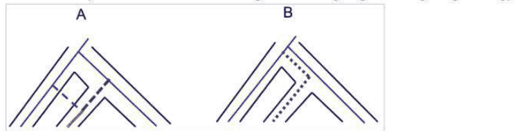 Two phylogenetic trees A and B with coloured and dashed gene lineages