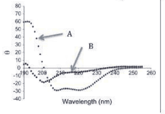 CD spectra of a protein under conditions A and B from 190 to 260 nm