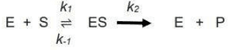 Reaction E + S to ES with rate constants k1 and k-1, then ES to E + P with k2