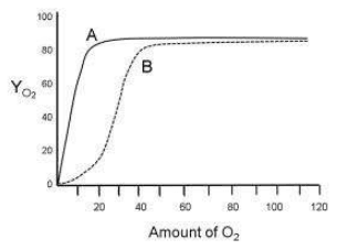 Oxygen binding curves A and B, and equations I to IV for fractional saturation