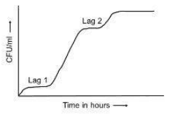 Yeast growth curve of CFU/ml against time with lag 1 and lag 2