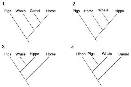 Four phylogenetic trees of whale with pig, camel, horse and hippo