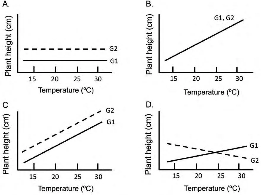 Four plots A to D of plant height against temperature for varieties G1 and G2