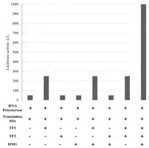 Bar chart of luciferase activity for combinations of TF1, TF2 and HM1