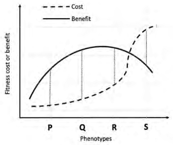Cost and benefit curves of alarm calling for phenotypes P, Q, R and S