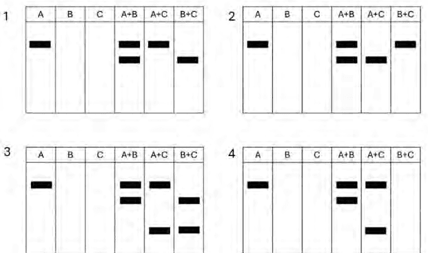 Coomassie gel of RTK constructs A, B, C and combinations, and four candidate autoradiograms