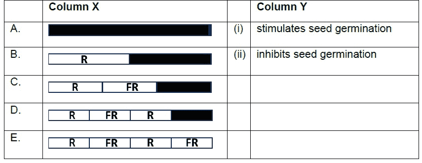 Light schedules A to E of red, far-red and dark periods, with germination outcomes