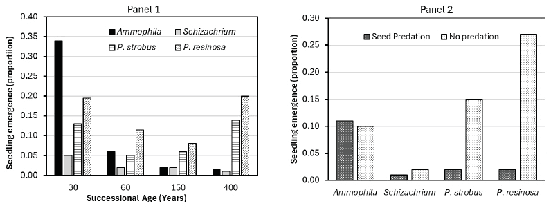 Bar charts of seedling emergence by dune age (Panel 1) and with or without seed predation (Panel 2)