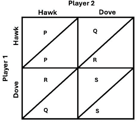 Hawk-Dove payoff matrix with payoffs P, Q, R and S