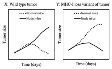 Tumour size over time in normal and nude mice for wild-type and MHC-I-loss tumours