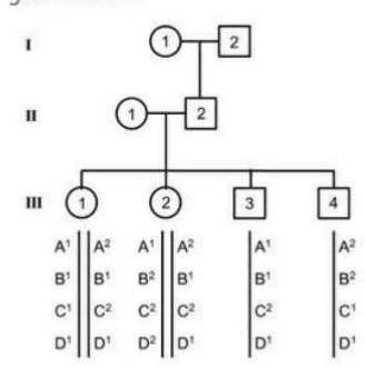 Three-generation pedigree with genotypes at loci A to D for children in generation III, and four candidate genotypes