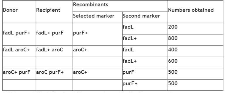 P22 transduction two-factor cross data for fadL, purF and aroC, and four candidate gene maps