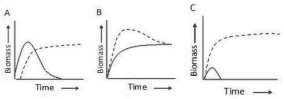 Biomass of two species over time in graphs A, B and C
