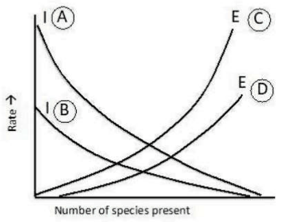 Immigration and extinction curves A to D against number of species