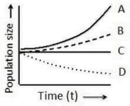 Population size of populations A to D over time