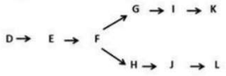 Branched pathway D to E to F, then F to G to I to K and F to H to J to L