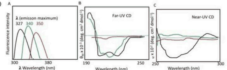 Fluorescence emission, far-UV CD and near-UV CD spectra of protein X under three conditions
