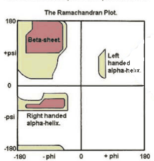 Ramachandran plot with beta-sheet, right-handed and left-handed alpha-helix regions