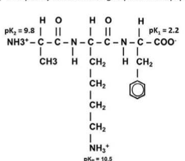 Tripeptide structure with pKa values 9.8, 2.2 and 10.5